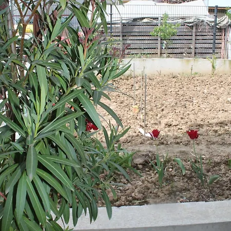 Le Jardin De Clementine * Wingersheim-les-Quatre-Bans