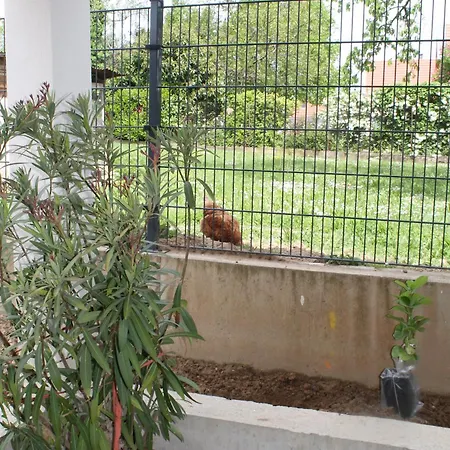 Le Jardin De Clementine Apartament *