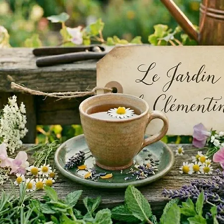Le Jardin De Clementine *